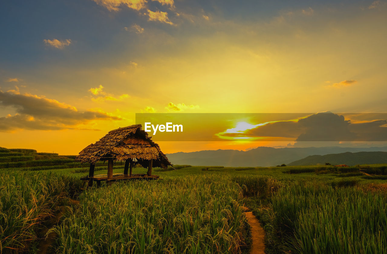 VIEW OF AGRICULTURAL FIELD AGAINST SKY DURING SUNSET