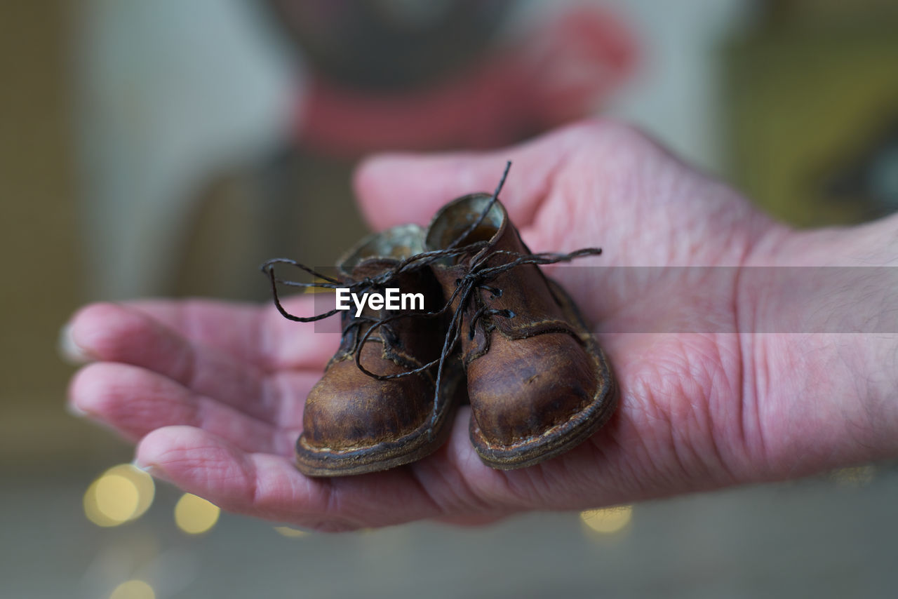 hand, close-up, one person, macro photography, animal themes, animal, insect, one animal, animal wildlife, holding, focus on foreground, wildlife, selective focus, adult, day, outdoors