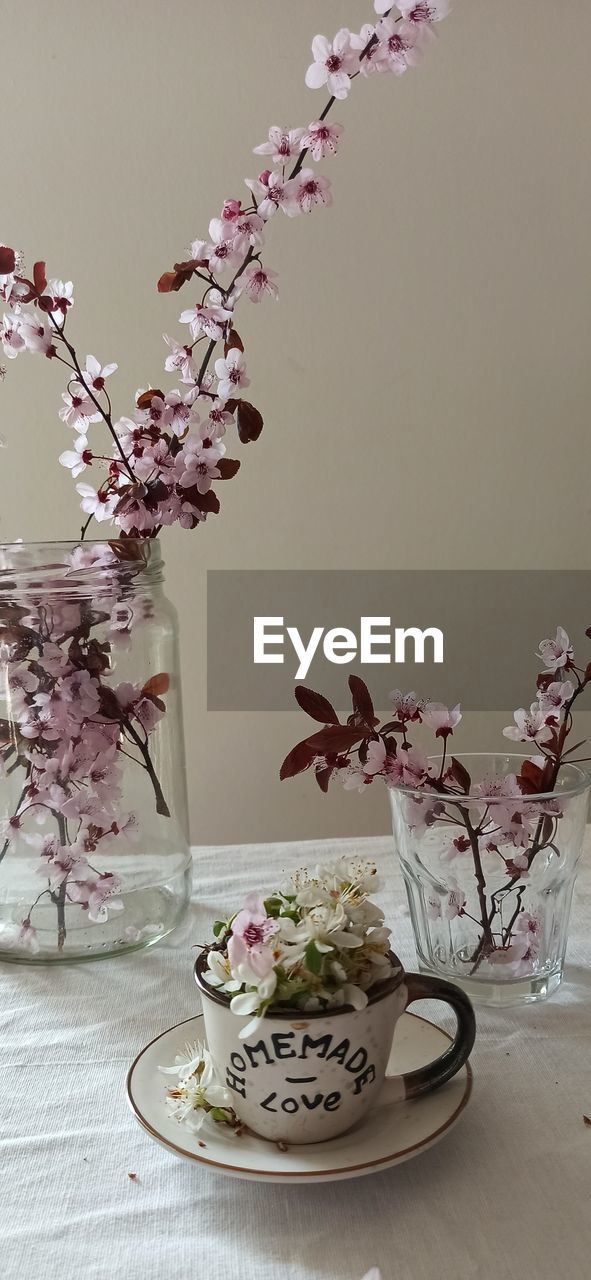 CLOSE-UP OF FRESH PINK FLOWERS ON TABLE