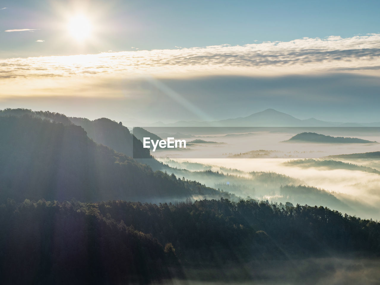 Amazing fog with fir forest and dark treetops, aerial view, misty autumn season in mountains valley