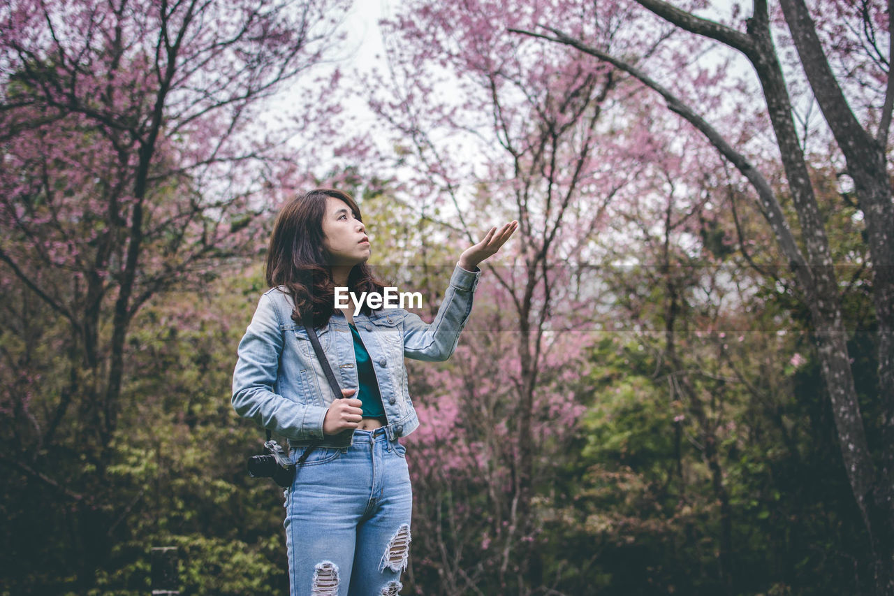 Beautiful young woman looking away while standing against pink flowering tree