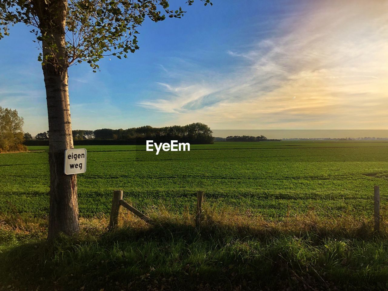 SCENIC VIEW OF FARM FIELD AGAINST SKY