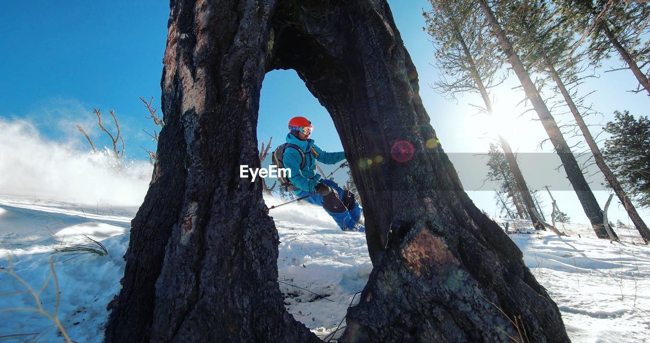 SCENIC VIEW OF SNOW COVERED TREE AGAINST SKY