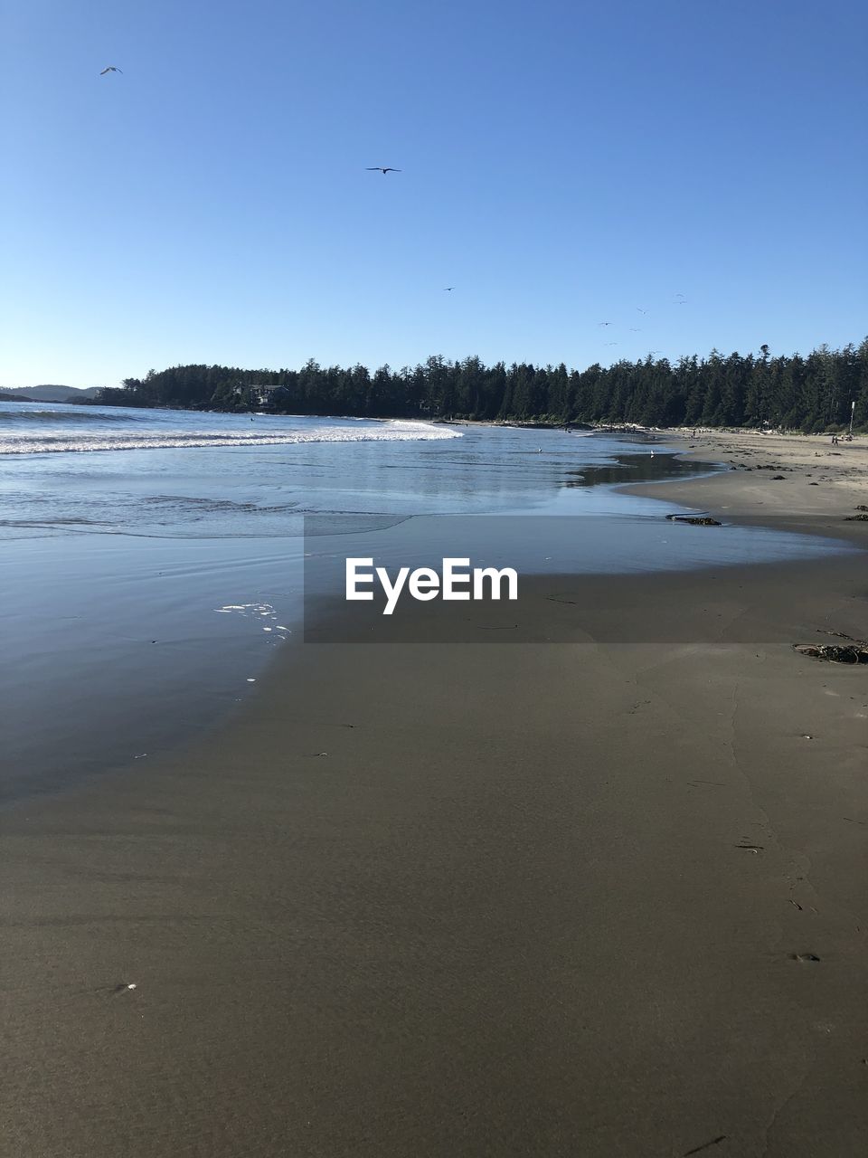 VIEW OF BEACH AGAINST CLEAR SKY