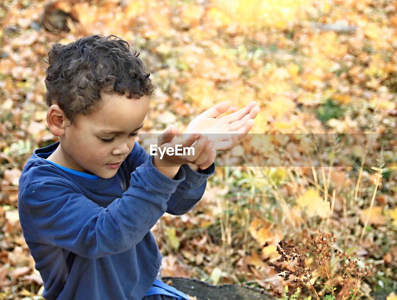 Close-up of boy praying in park during autumn