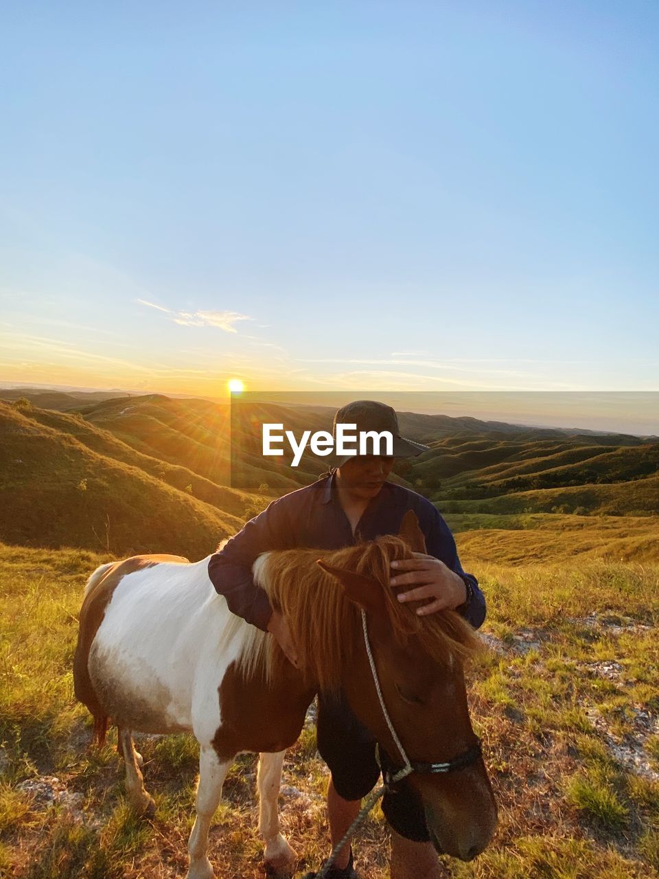 View of a horse on field