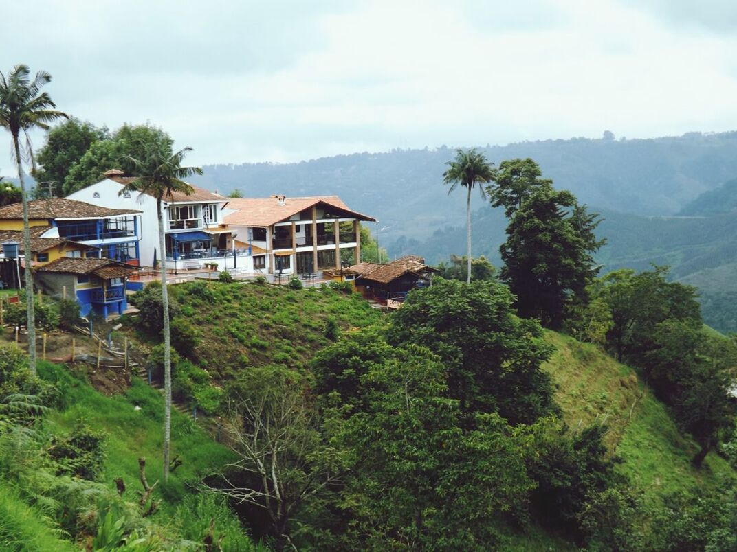 High angle view of houses on forest mountain