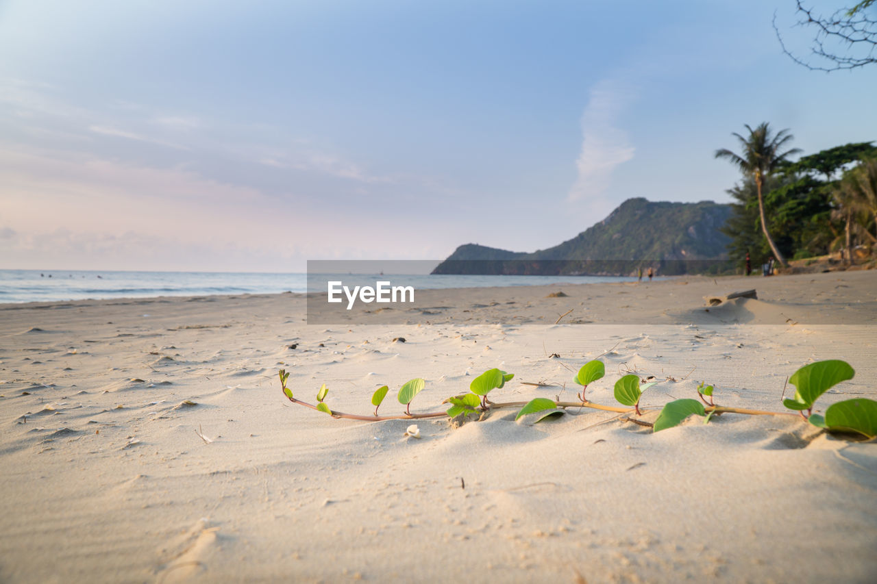 VIEW OF BEACH AGAINST SKY