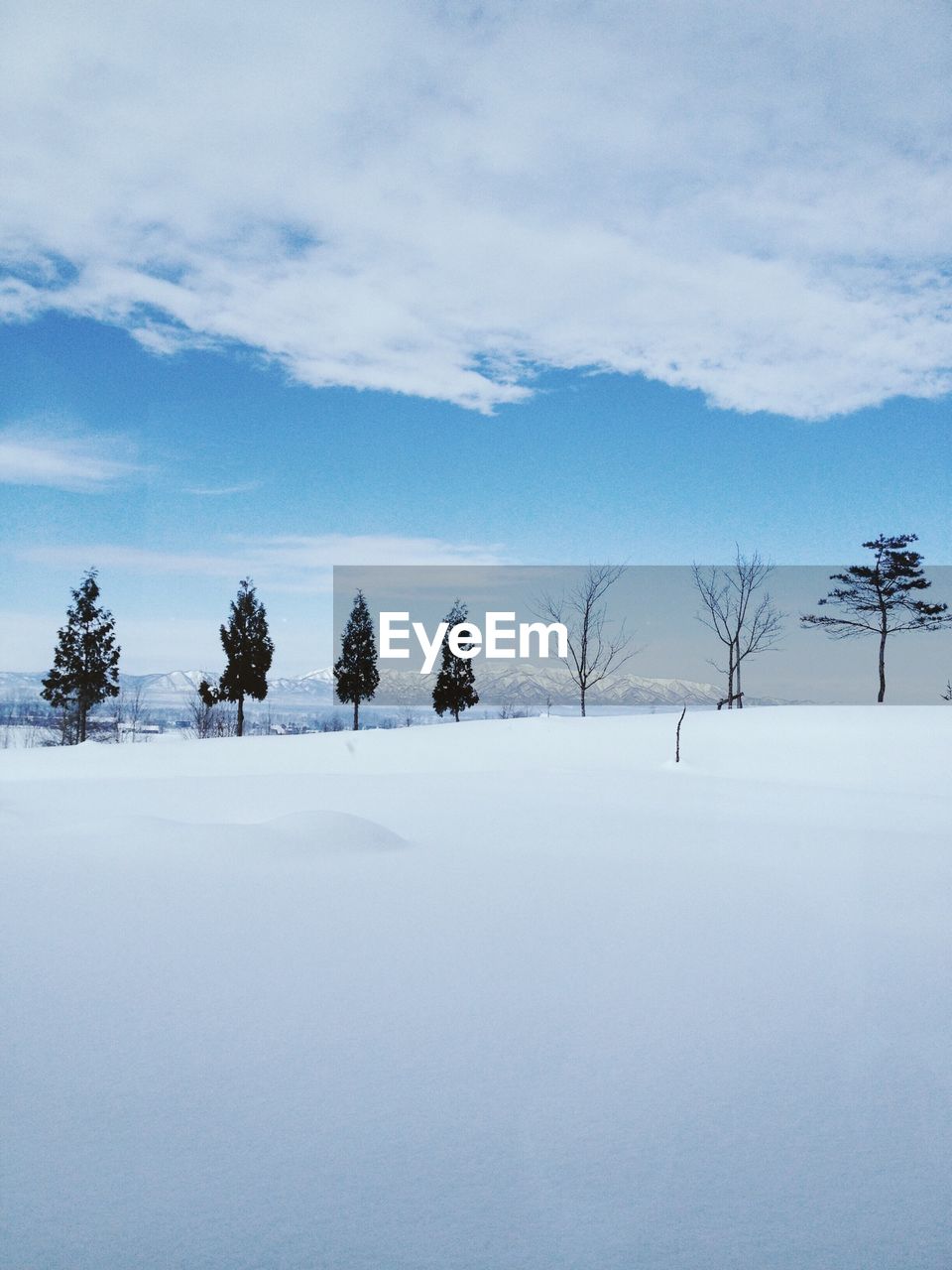 Snowy landscape with trees in background