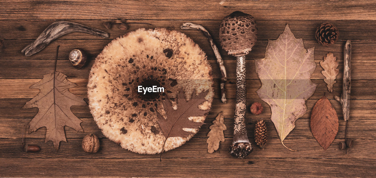  pattern of dried autumn leaves and mushrooms on a wooden background, flat lay, top view