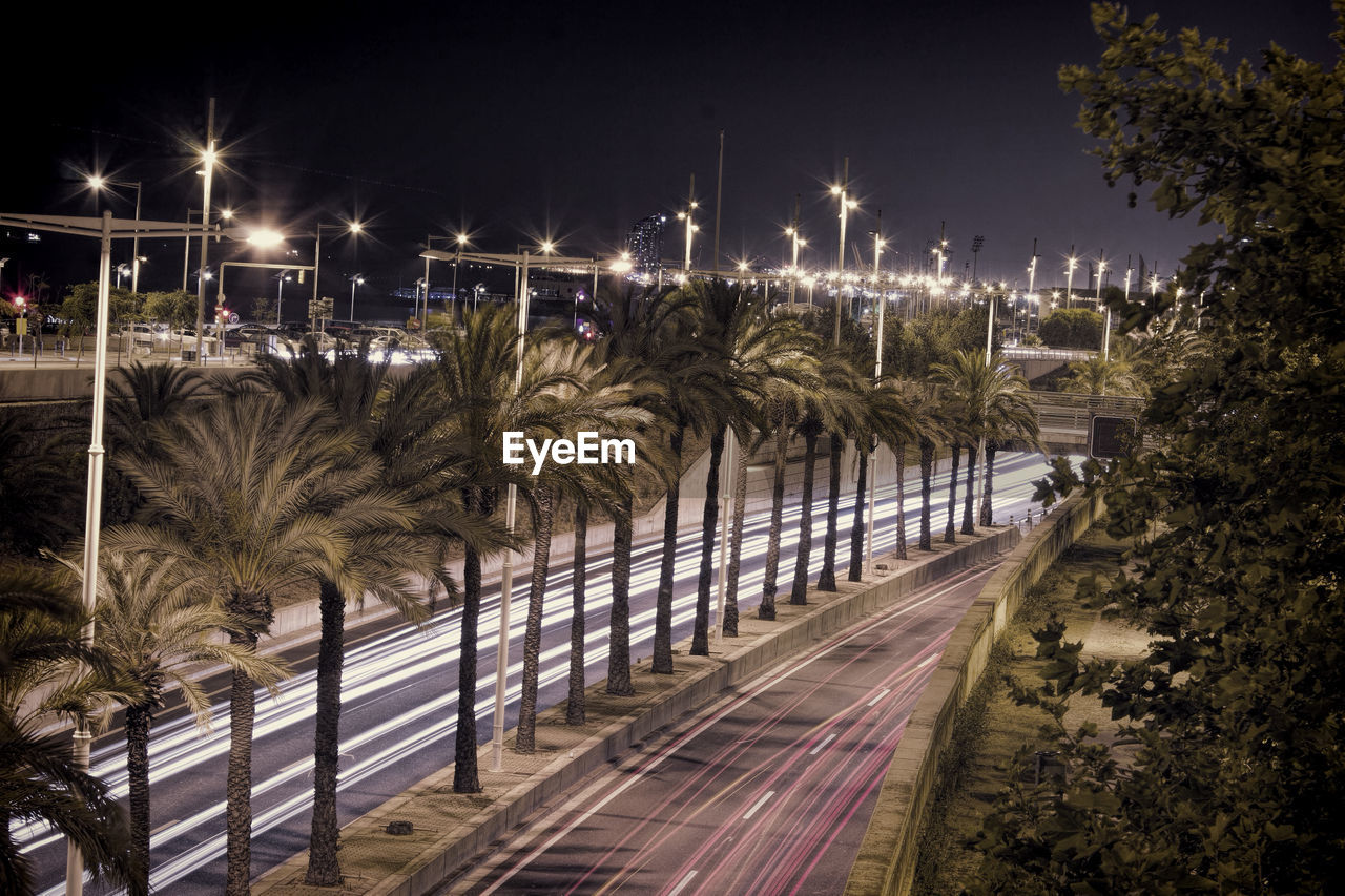 Palm trees amidst roads in city against sky at night