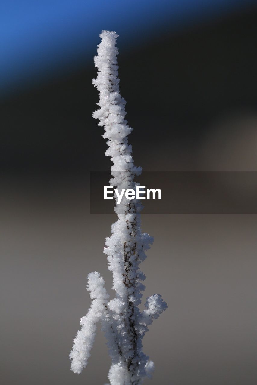 CLOSE-UP OF SNOW COVERED CAR AGAINST CLEAR SKY