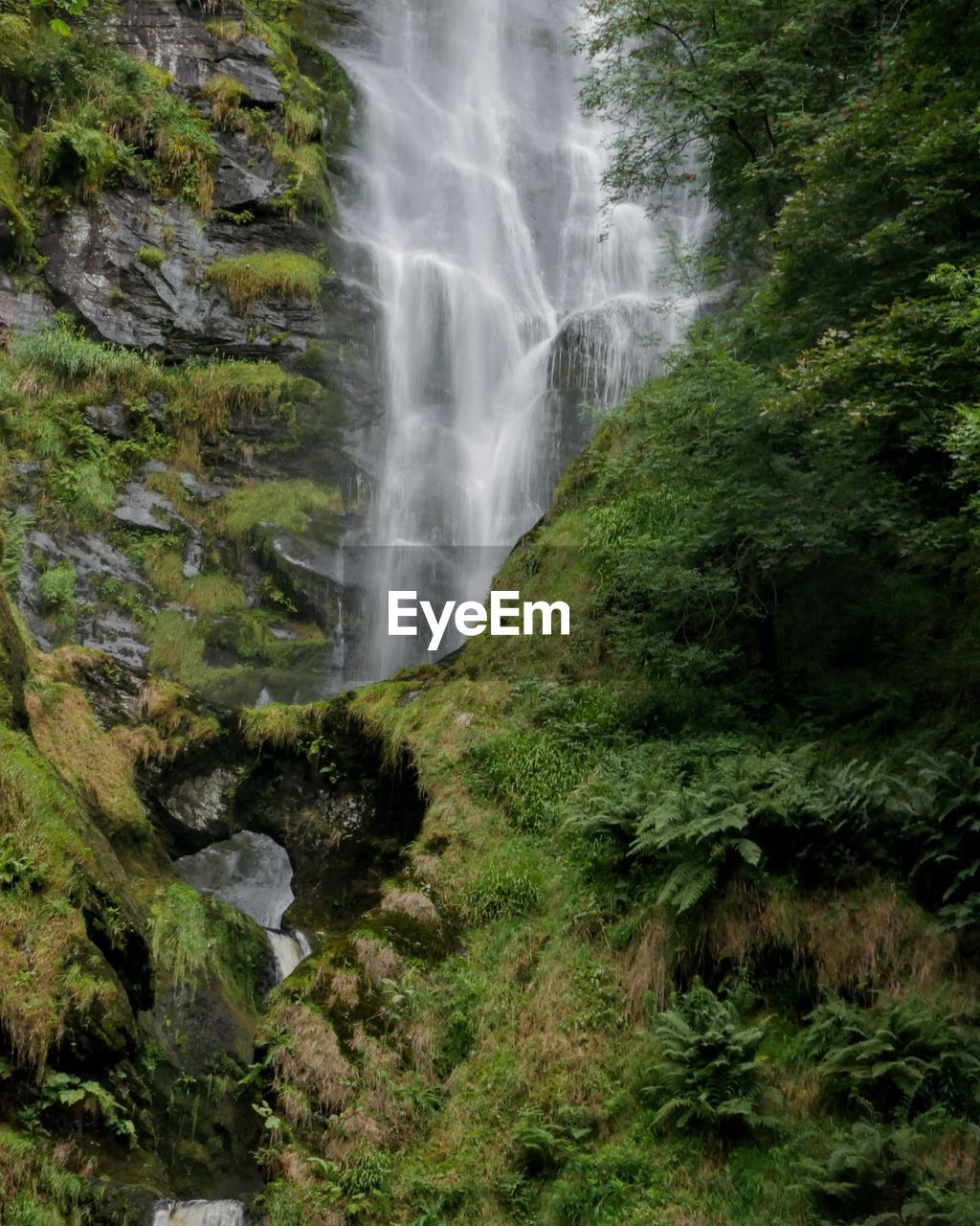 WATERFALL IN A FOREST