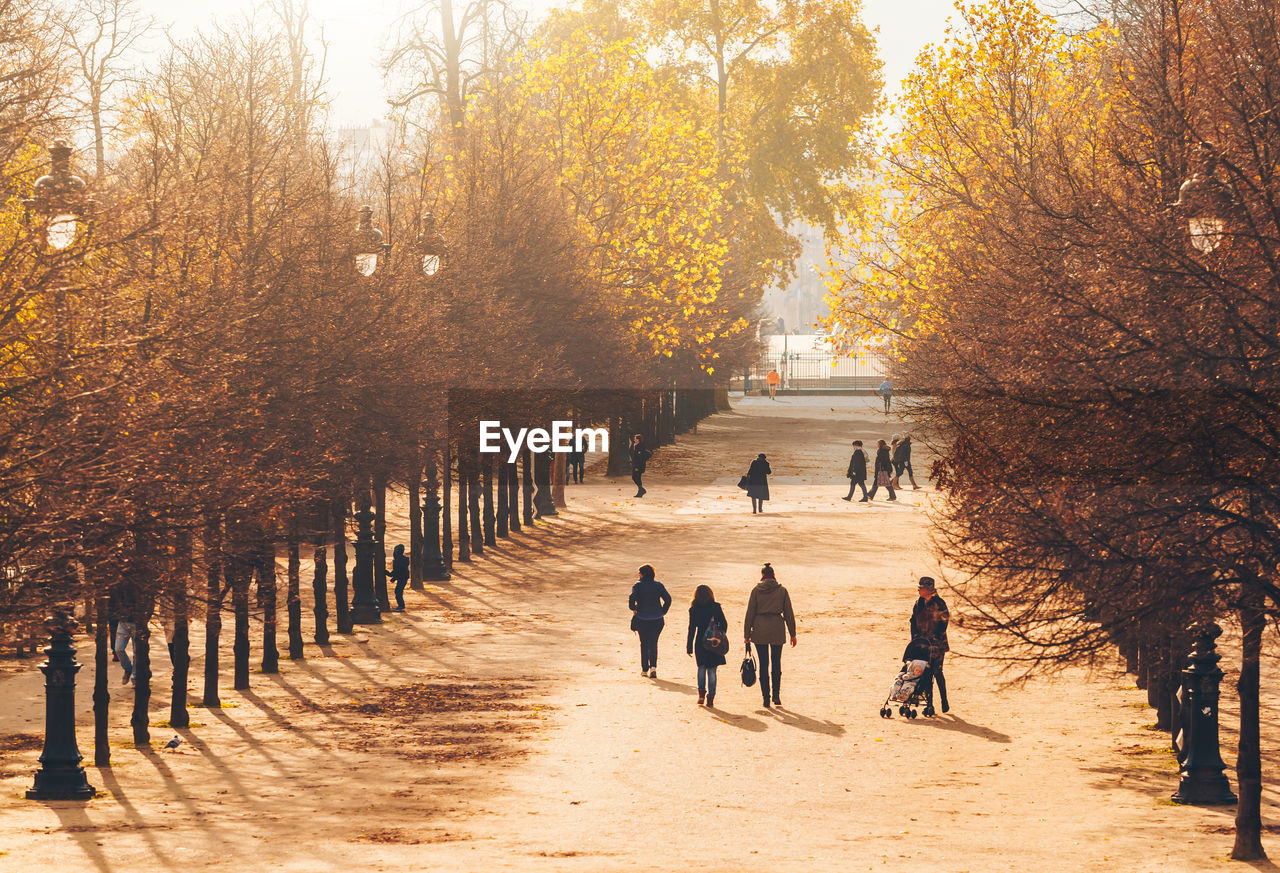 Group of people walking on footpath during autumn