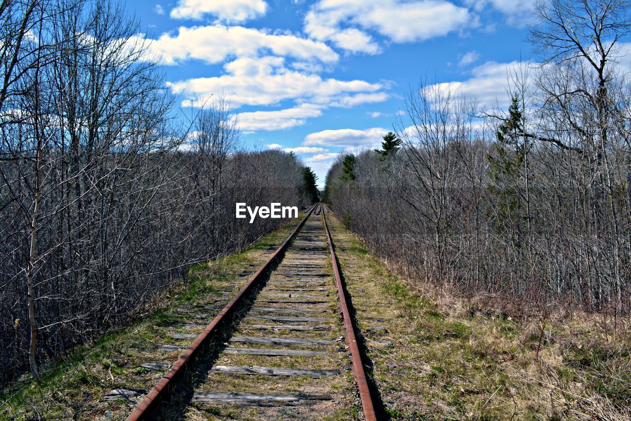 Railroad tracks amidst trees against sky