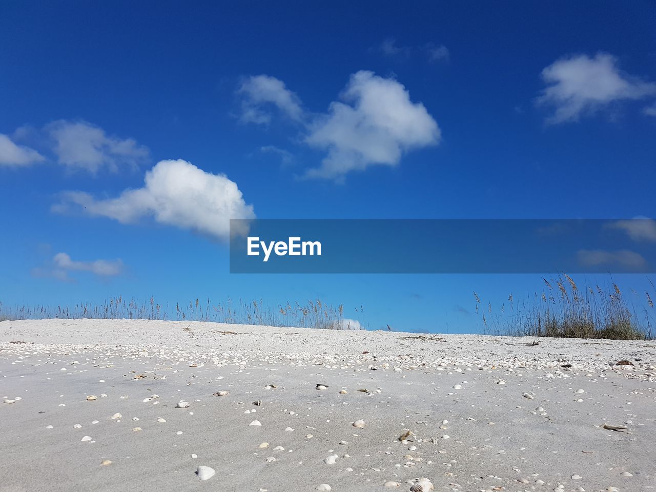 Surface level of land against sky