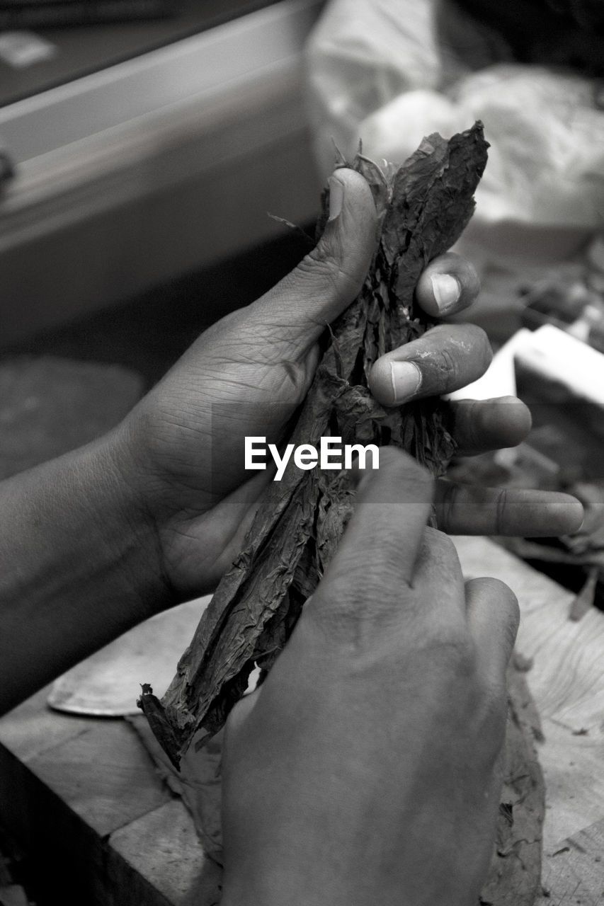 Cropped hands holding making cigar in workshop