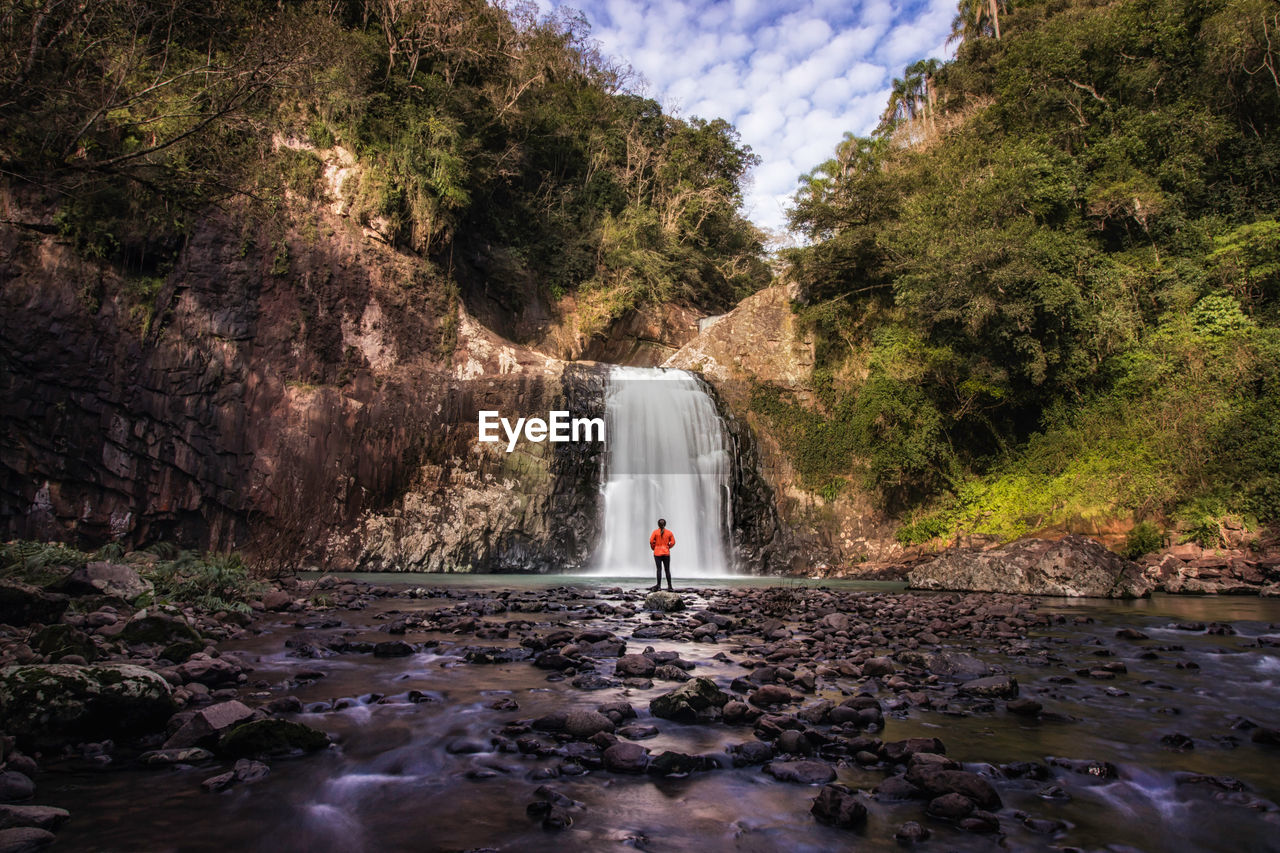 Rear view of woman looking at waterfall in forest