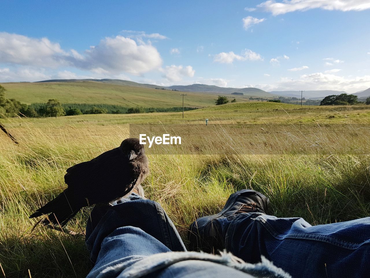 LOW SECTION OF MAN WITH DOG ON FIELD AGAINST SKY