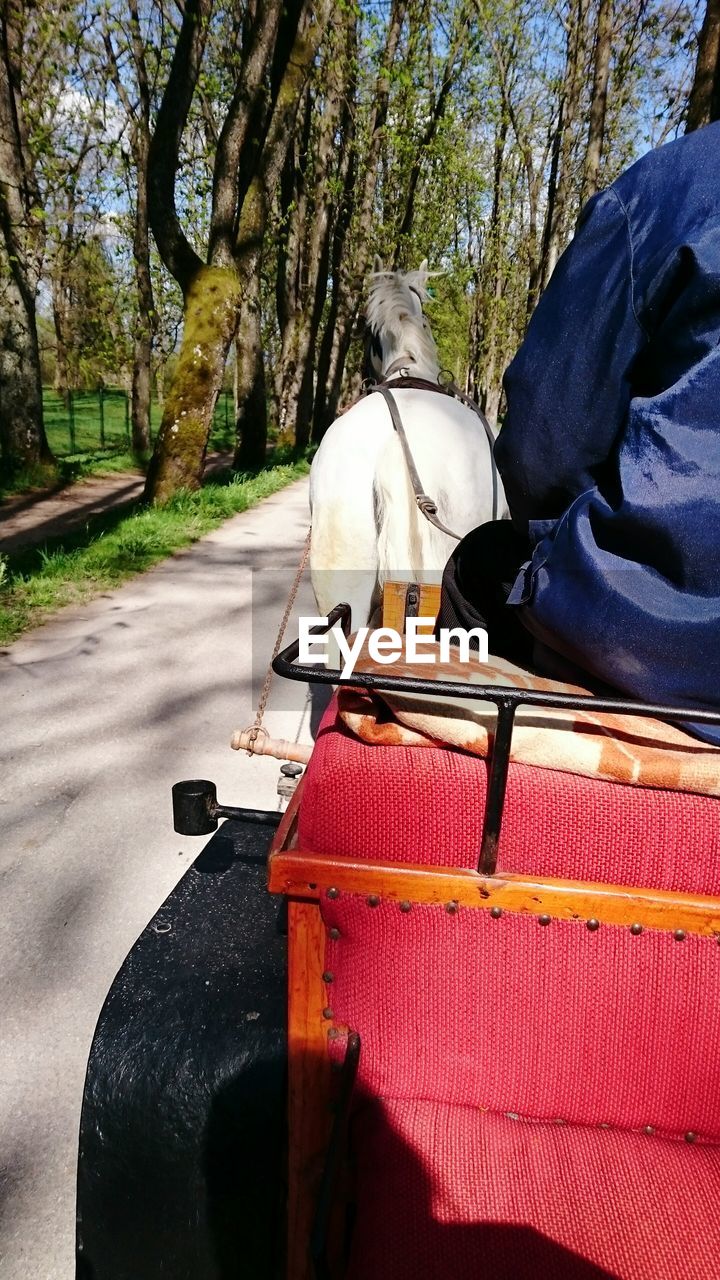 Man riding horse cart