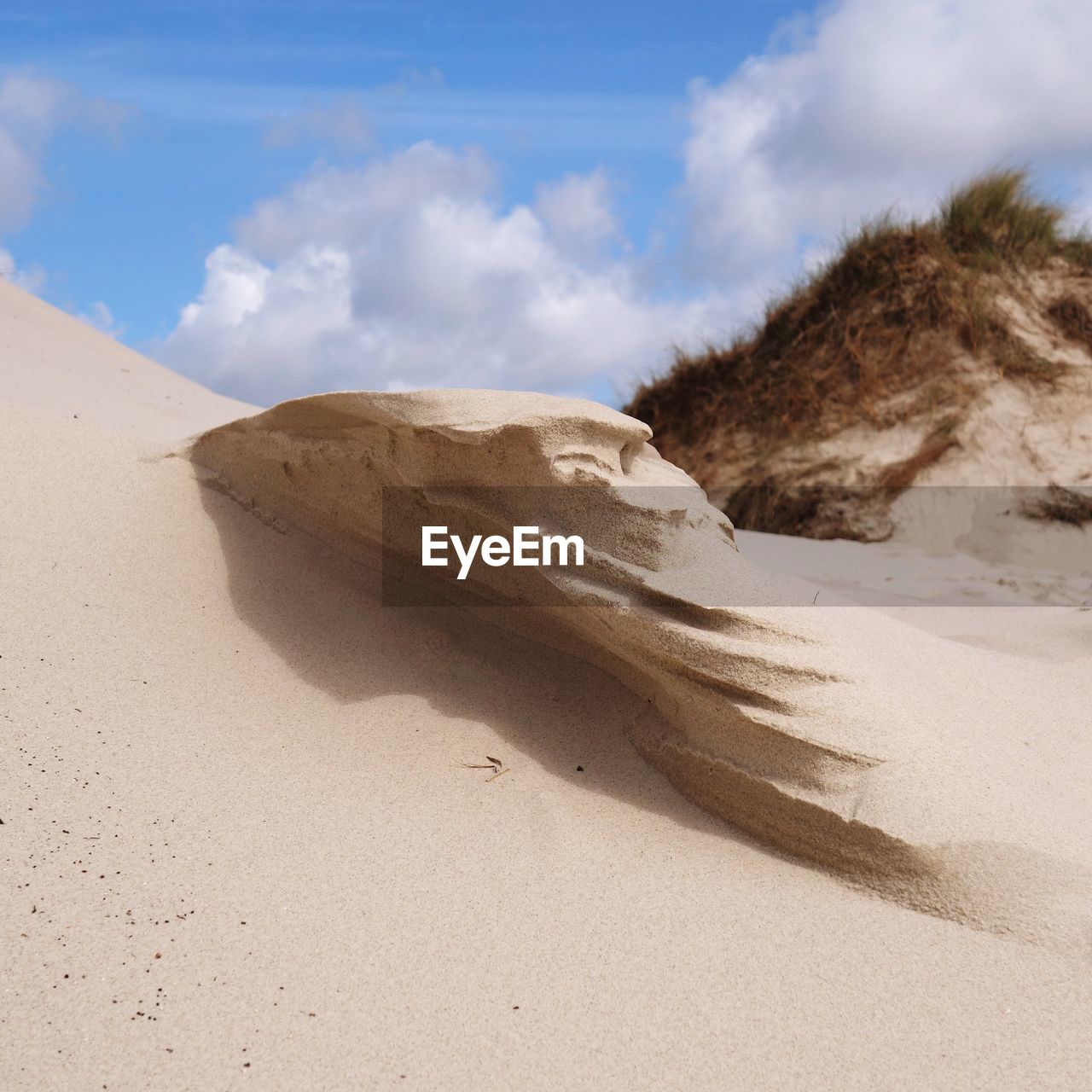 CLOSE-UP OF SAND DUNE