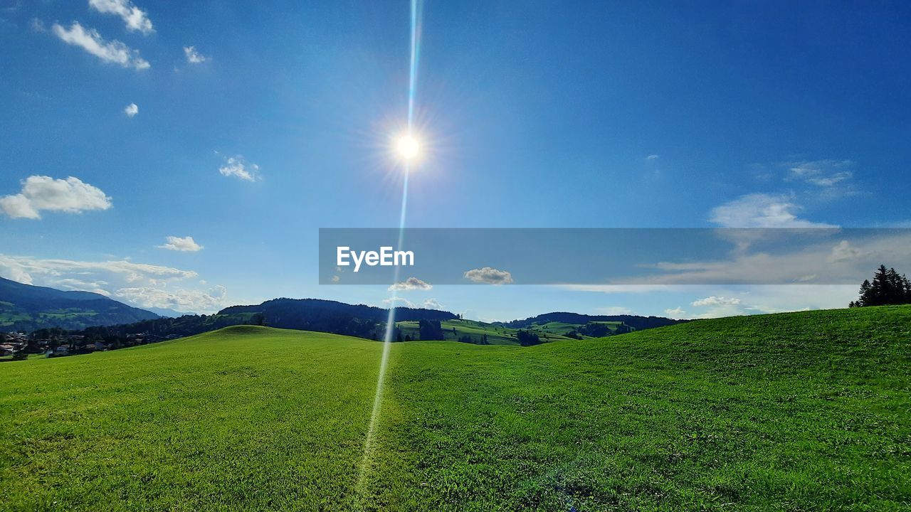 SCENIC VIEW OF GRASSY FIELD AGAINST BRIGHT SUN