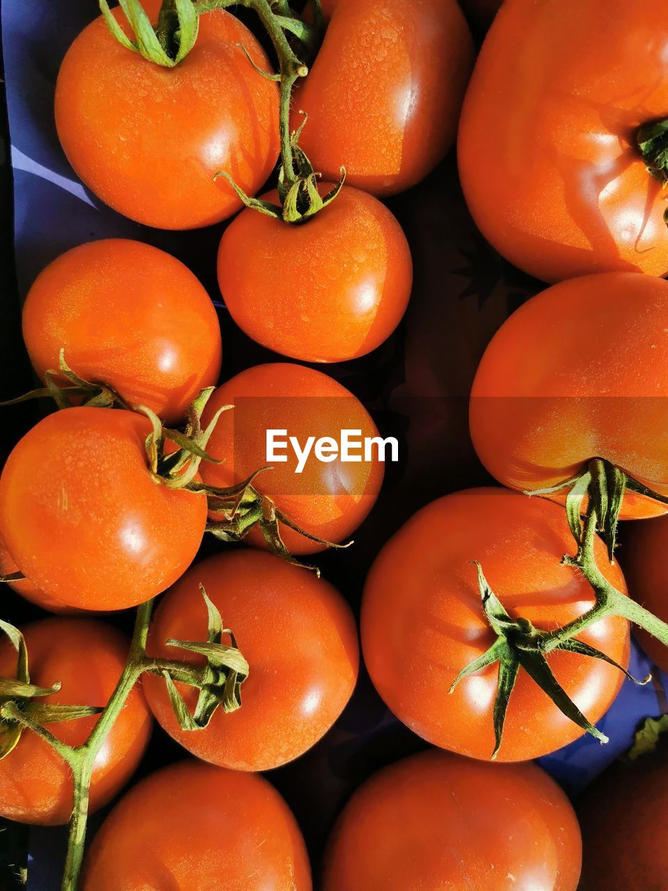 HIGH ANGLE VIEW OF TOMATOES FOR SALE