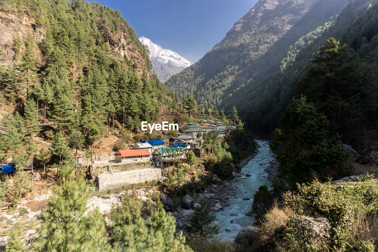 SCENIC VIEW OF RIVER AMIDST TREES