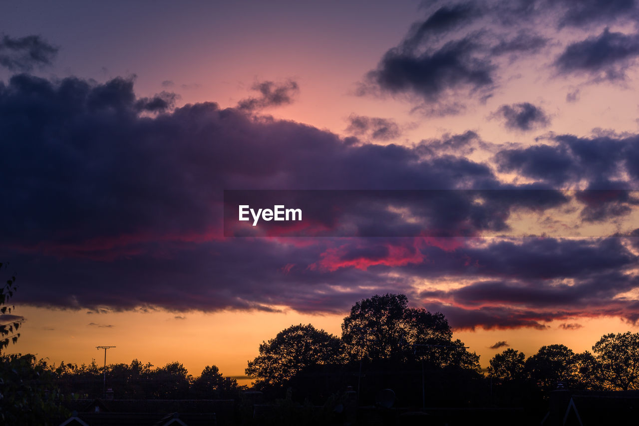 LOW ANGLE VIEW OF SILHOUETTE TREES AGAINST ROMANTIC SKY