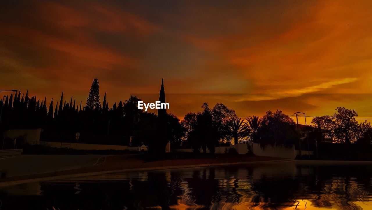 VIEW OF TREES AT SUNSET