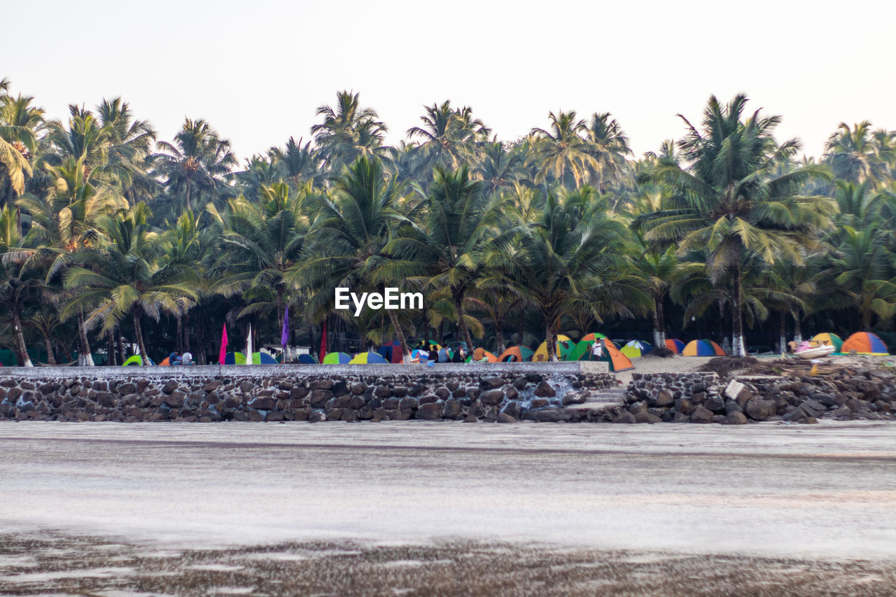 SCENIC VIEW OF SEA AGAINST TREES