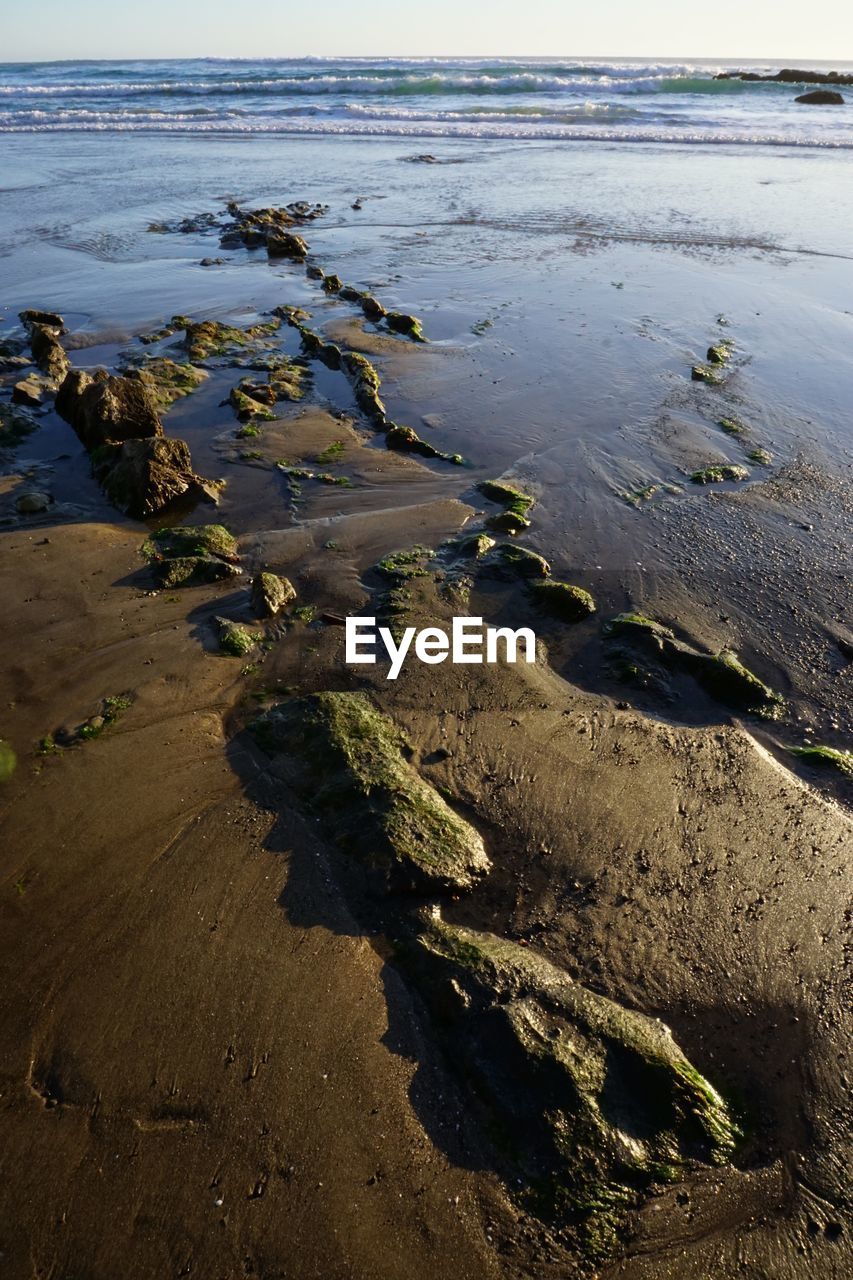 High angle view of wet shore