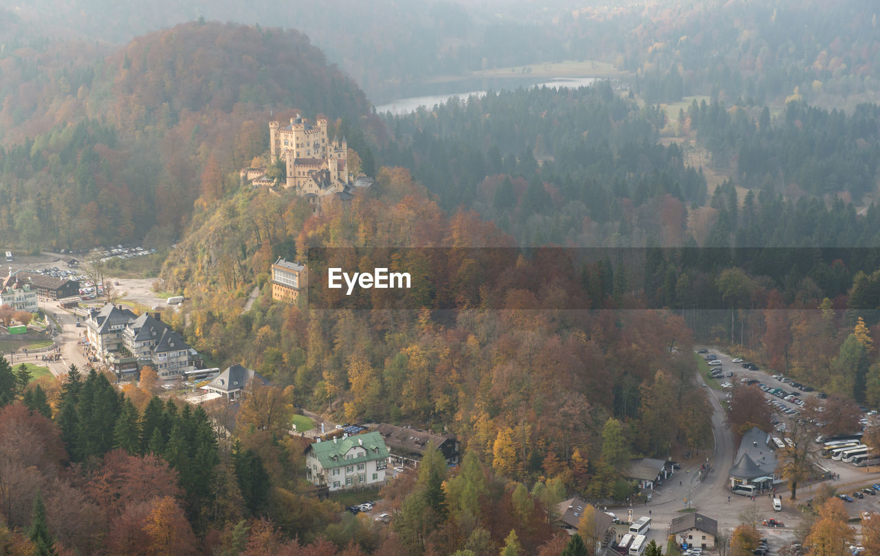 HIGH ANGLE VIEW OF TREES ON LANDSCAPE DURING AUTUMN