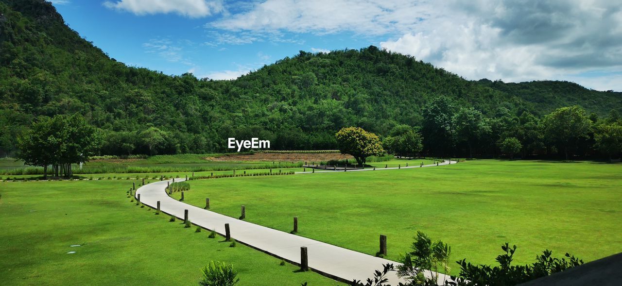 Scenic view of trees on field against sky