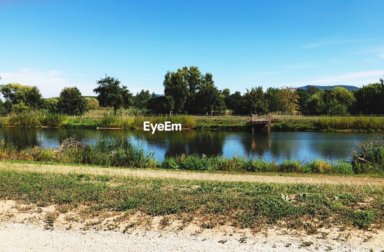 SCENIC VIEW OF LAKE AGAINST TREES