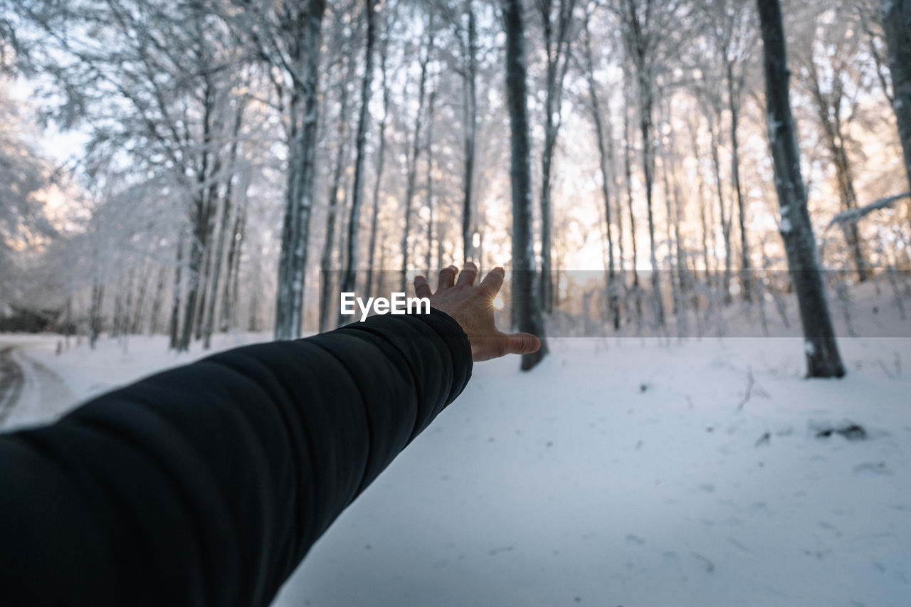 Human hand on snow covered forest at sunrise