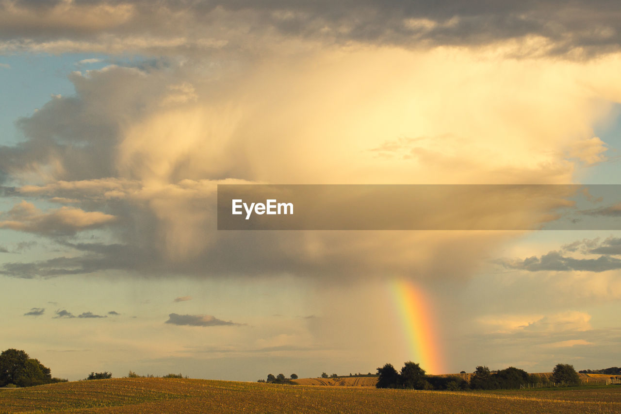 Scenic view of field against sky with rainbow