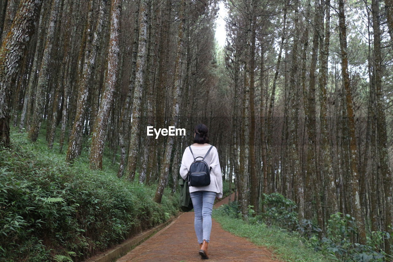 Rear view of woman walking on footpath amidst trees in forest