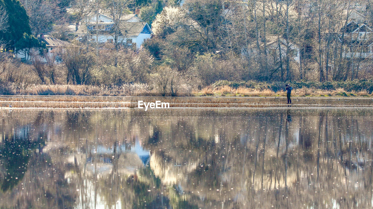 reflection, water, nature, winter, tree, plant, beauty in nature, scenics - nature, lake, tranquility, tranquil scene, day, no people, landscape, wilderness, frost, waterfront, wetland, growth, non-urban scene, snow, land, autumn, environment, outdoors, morning, idyllic