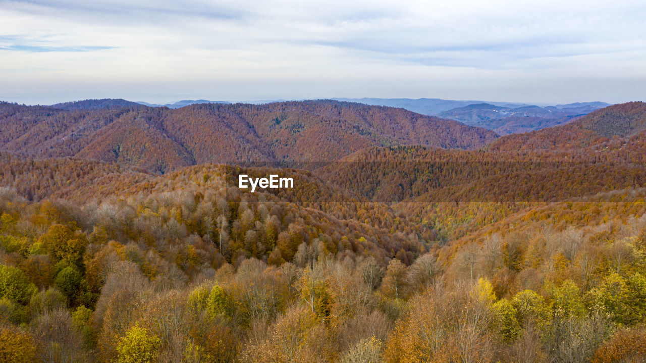 PANORAMIC VIEW OF LANDSCAPE AGAINST SKY