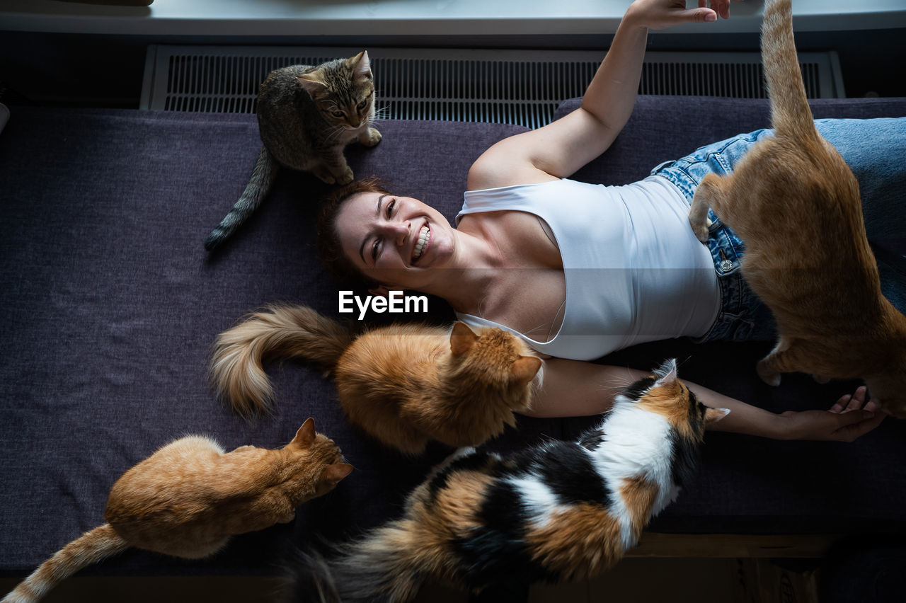 Top view of a lying caucasian woman with cats in a cat cafe