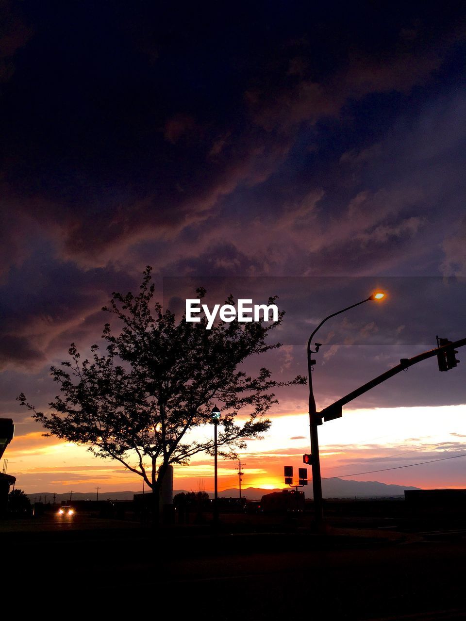 SILHOUETTE TREE AGAINST SKY AT DUSK