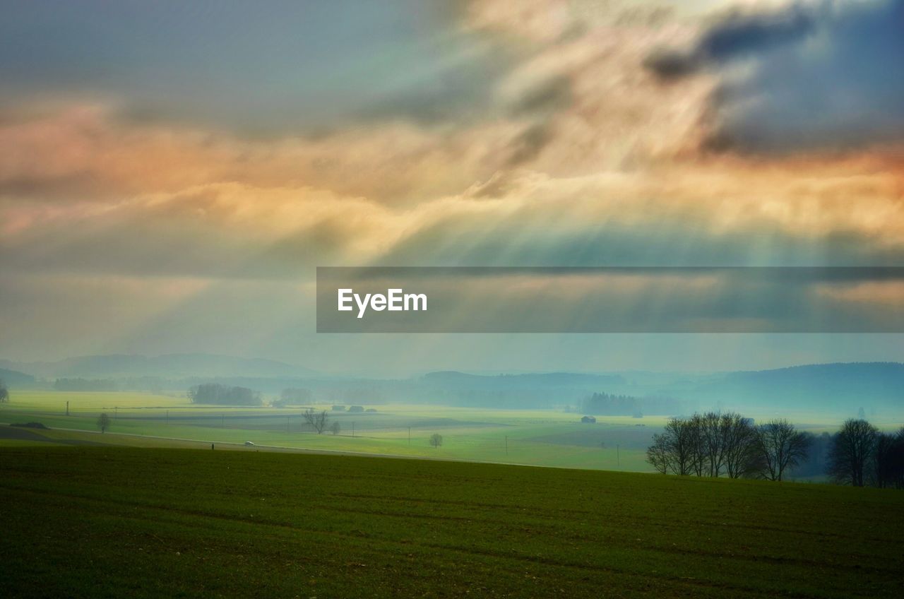 FIELD AGAINST SKY