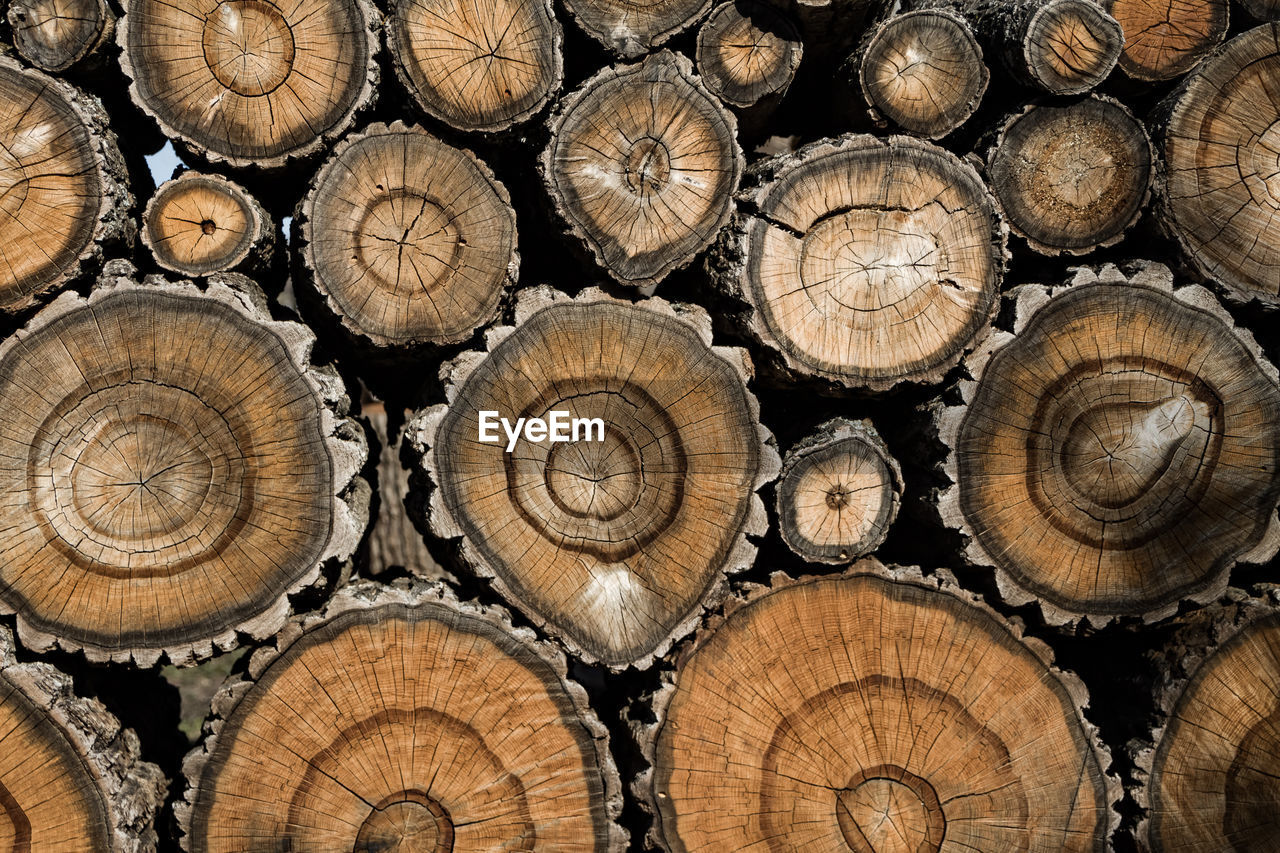 Full frame shot of logs in forest