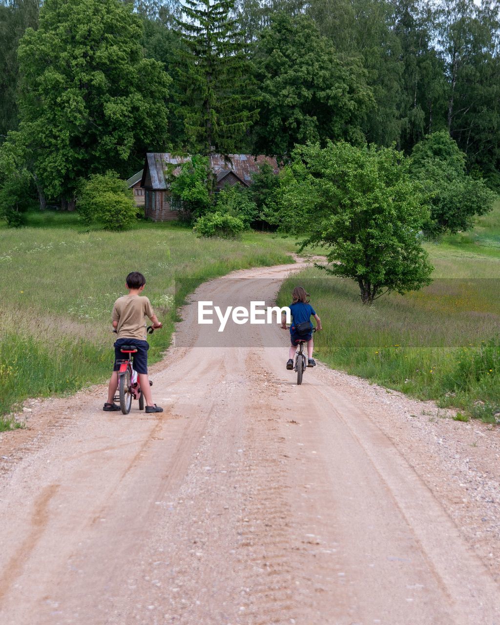 Rear view of two children riding bicycle on a country road