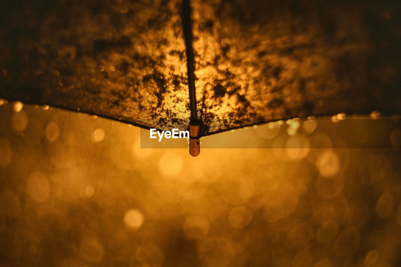 Close-up of umbrella during rainy season