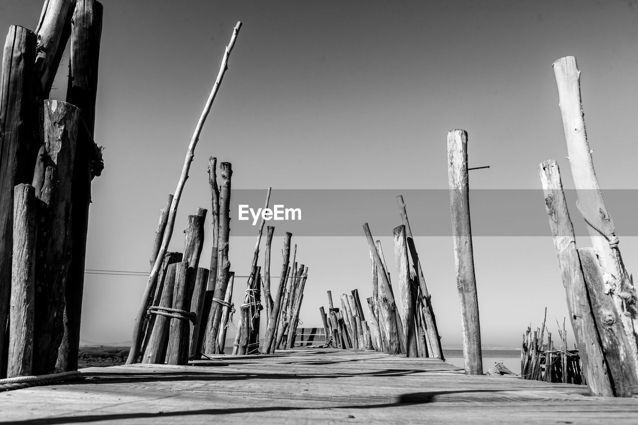  panoramic view of stakes on stilt pier
