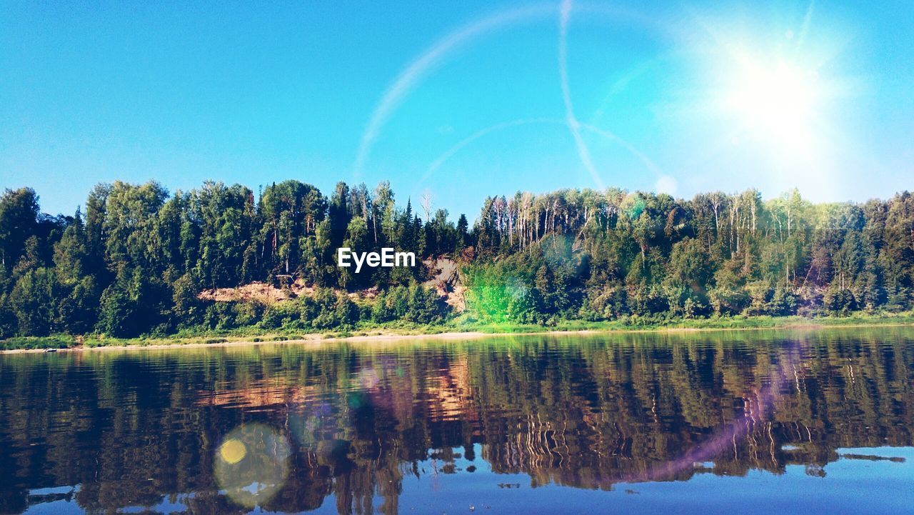 Reflection of trees in water against blue sky