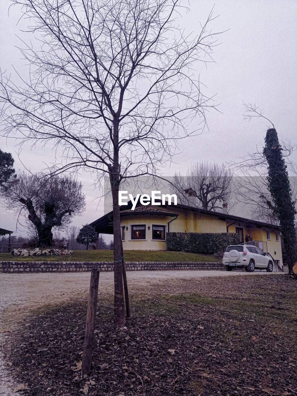 BARE TREES AND HOUSES ON FIELD AGAINST SKY