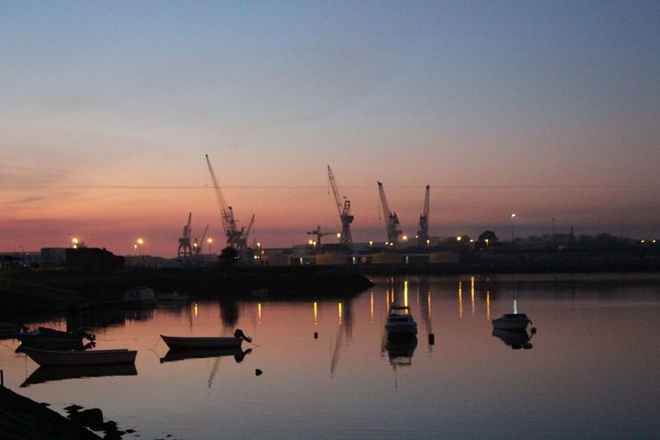 CRANES AT SUNSET